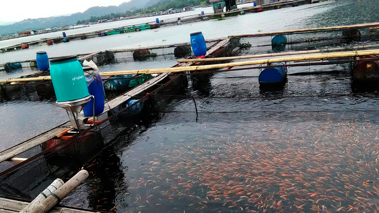 How technology is making farming and recycling sexy in Asia
