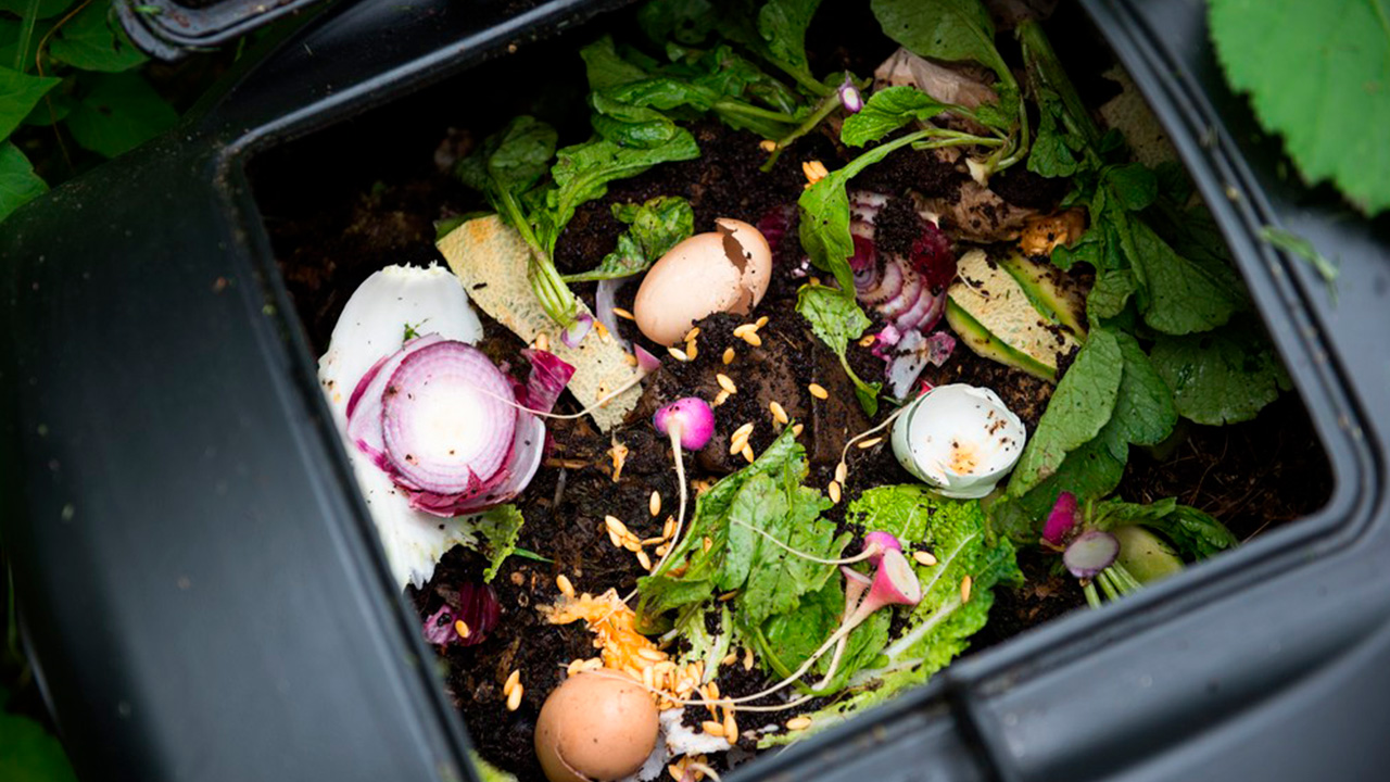 5 ways to make your home sustainable and save money