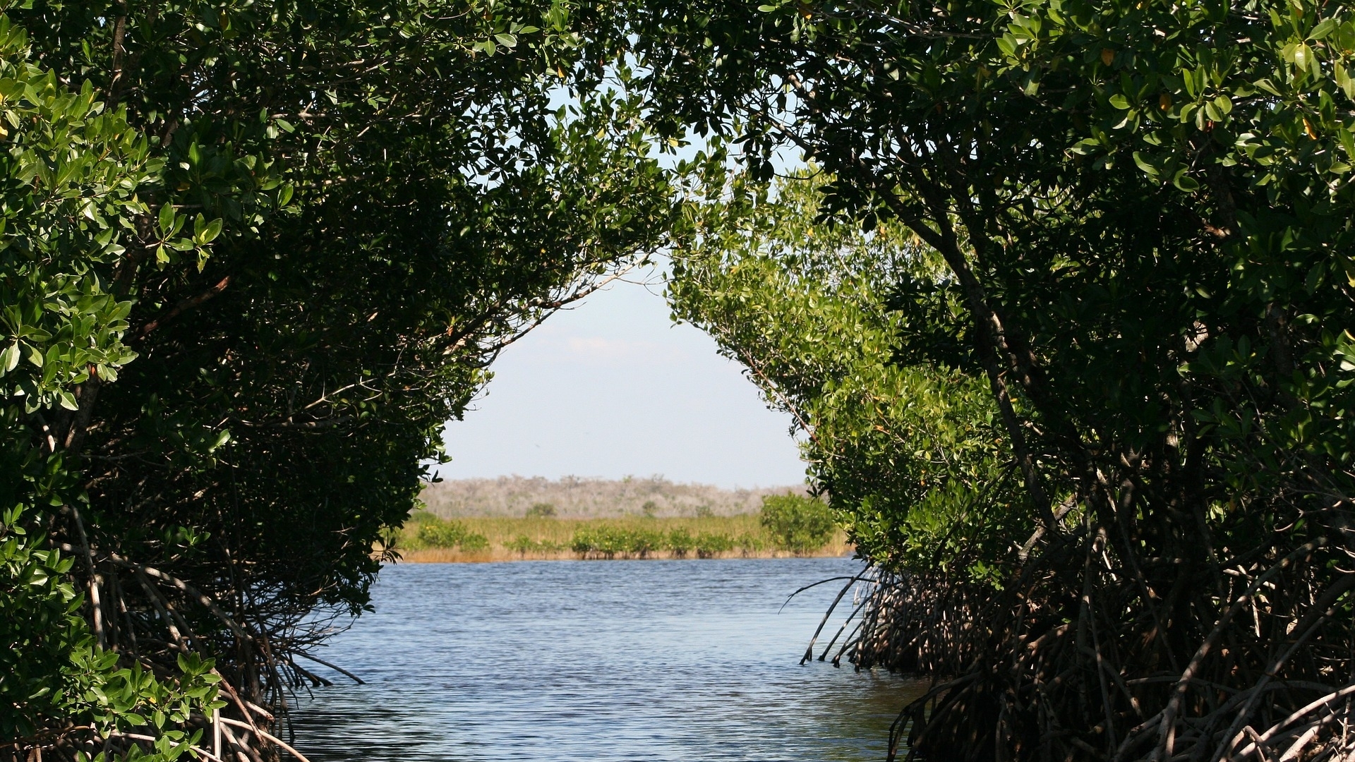 Why investing in nature makes good business sense