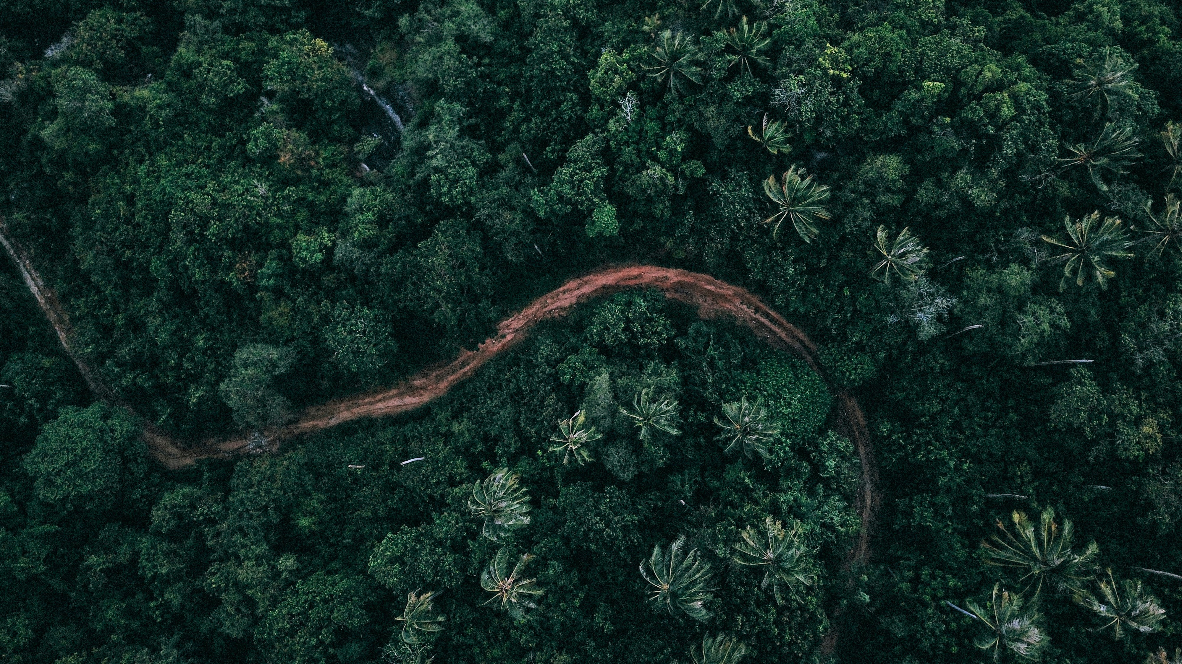 Southeast Asia's Green Economy: Opportunities on the Road to Net Zero