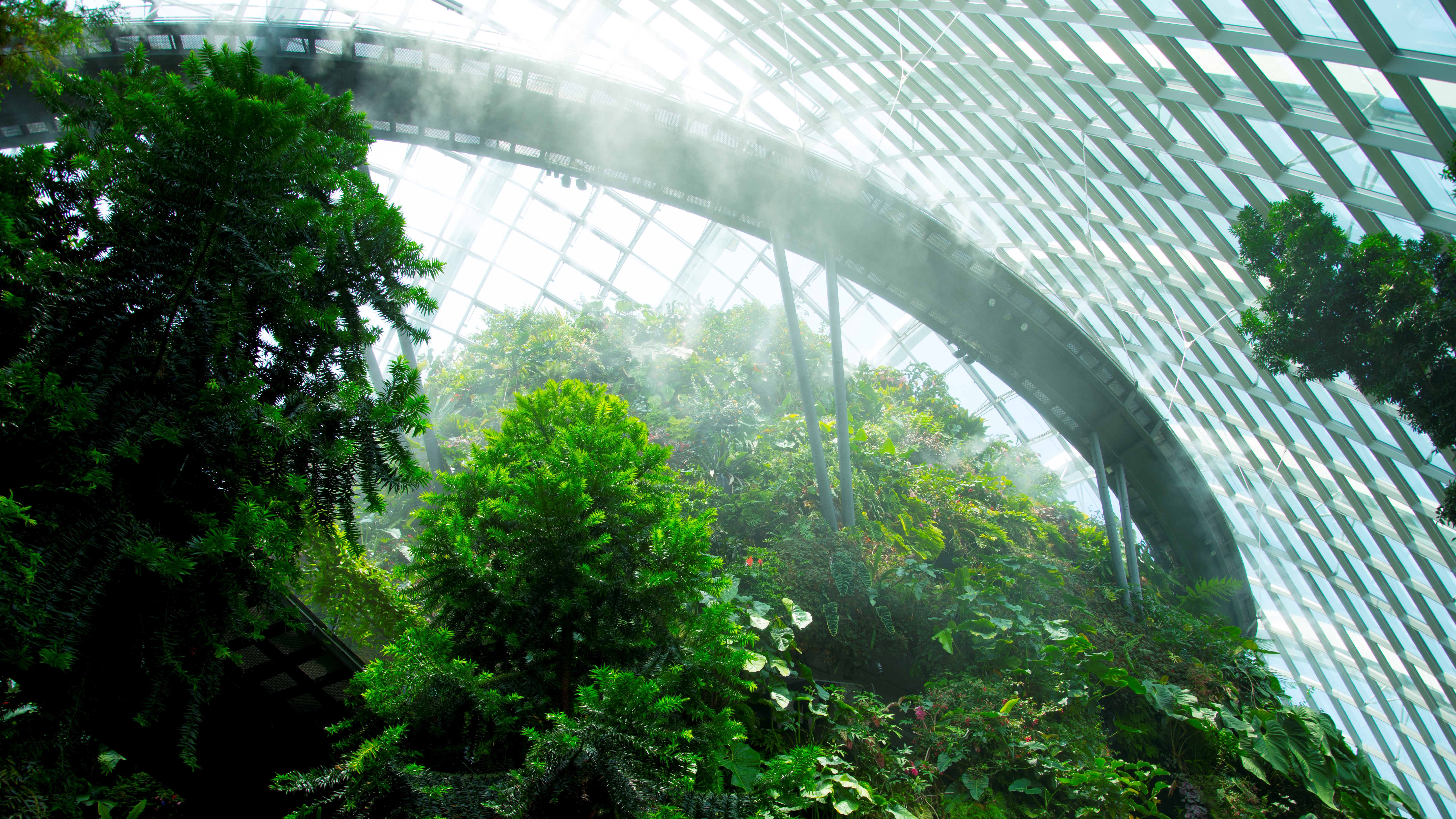 New Nature Economy: Asia's Next Wave