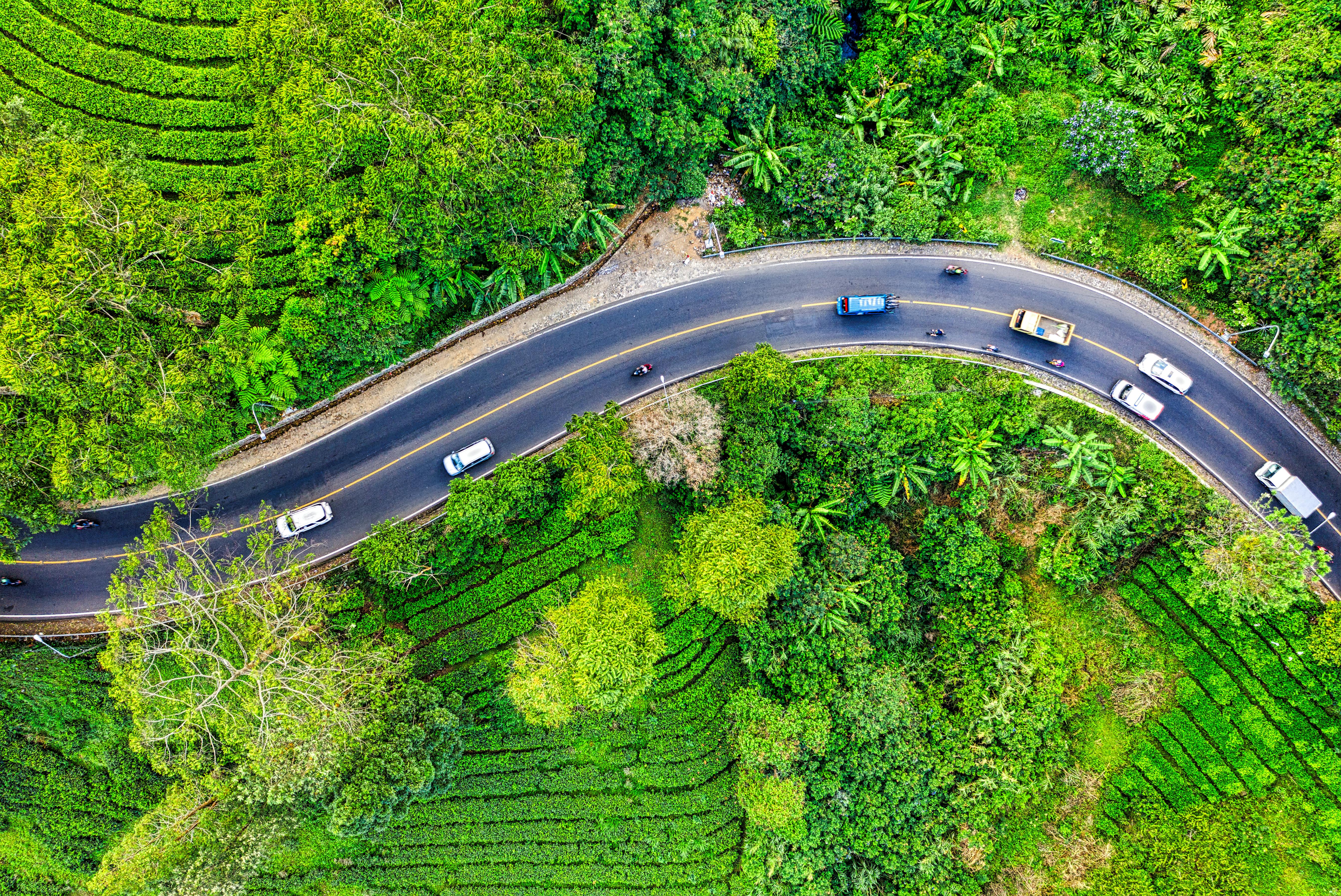 The Transition Dilemma: Short-Term Returns vs Long-Term Decarbonisation