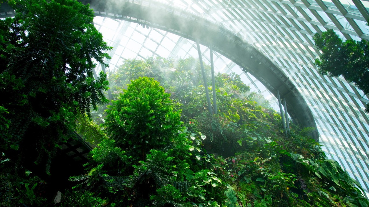 how-to-address-biodiversity-crisis