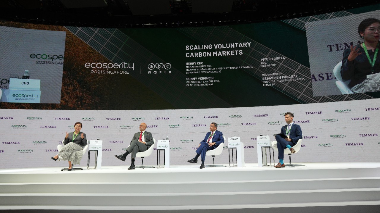 Panellists speaking at Ecosperity Week 2021 on scaling voluntary carbon markets